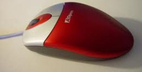 Picture of Mouse
